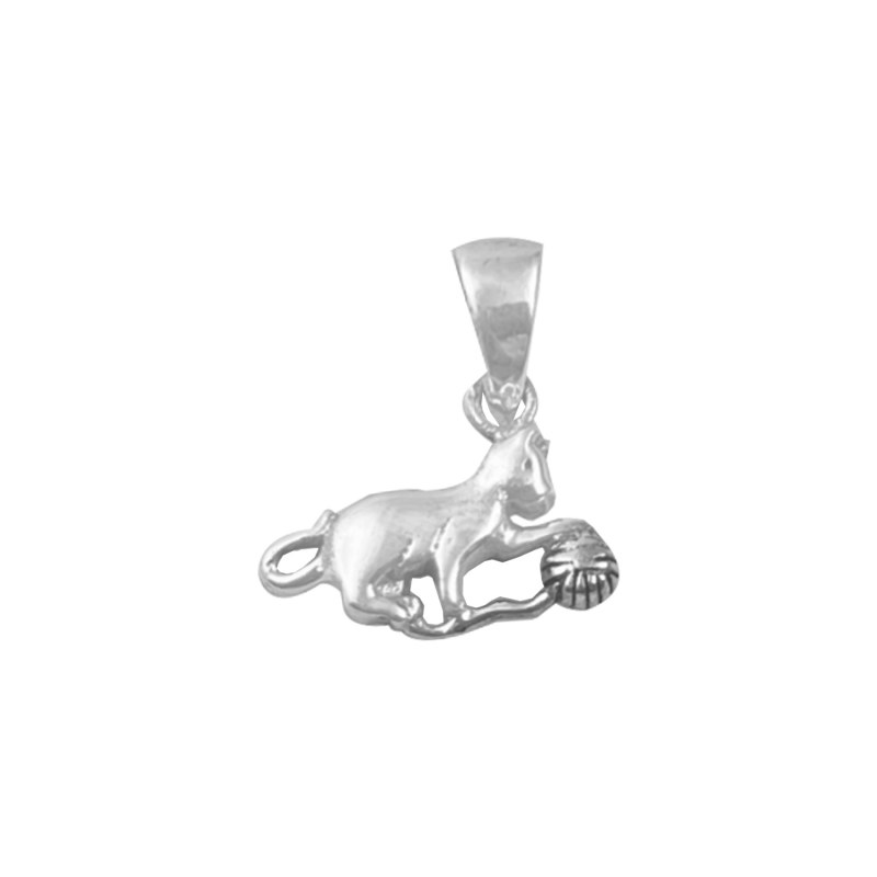 Curabitur cursus dignis