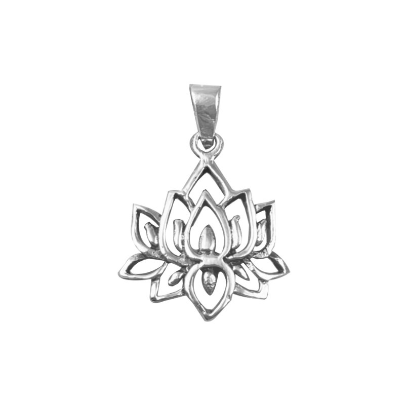 Curabitur cursus dignis